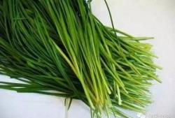 原神最新爆料韭菜,神秘韭菜助力角色成长，探索游戏新玩法